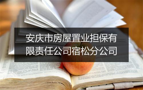 安庆市房屋置业担保有限责任公司宿松分公司