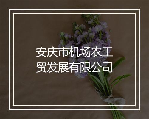 安庆市机场农工贸发展有限公司