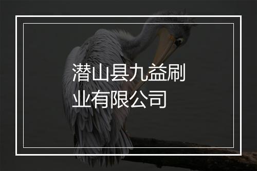 潜山县九益刷业有限公司
