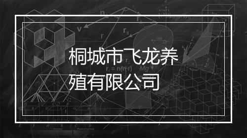 桐城市飞龙养殖有限公司