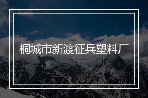 桐城市新渡征兵塑料厂