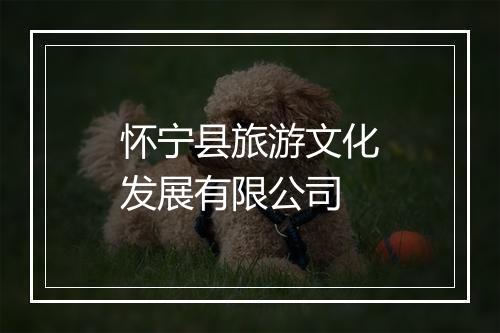 怀宁县旅游文化发展有限公司