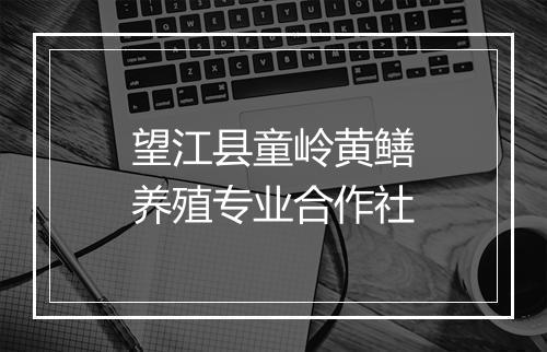 望江县童岭黄鳝养殖专业合作社