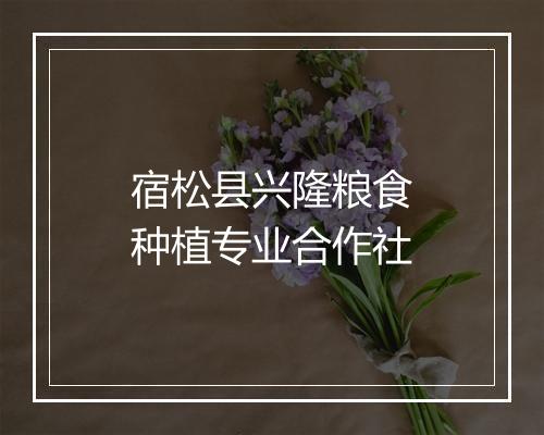 宿松县兴隆粮食种植专业合作社