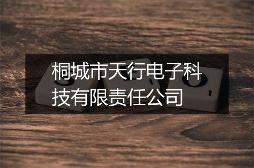 桐城市天行电子科技有限责任公司