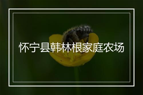 怀宁县韩林根家庭农场