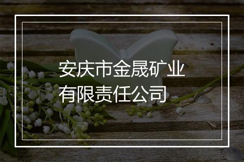 安庆市金晟矿业有限责任公司