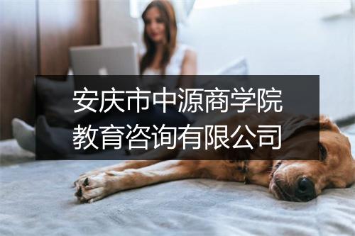 安庆市中源商学院教育咨询有限公司