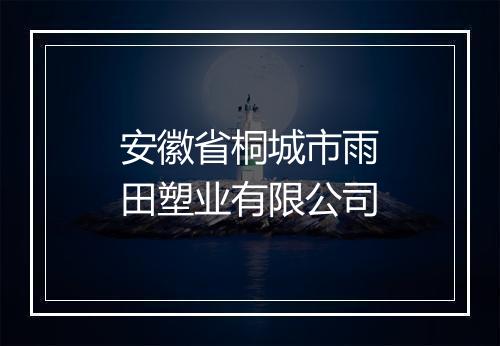 安徽省桐城市雨田塑业有限公司