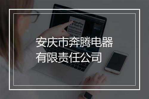 安庆市奔腾电器有限责任公司