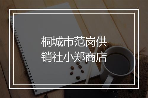 桐城市范岗供销社小郑商店