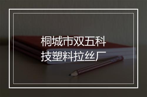 桐城市双五科技塑料拉丝厂