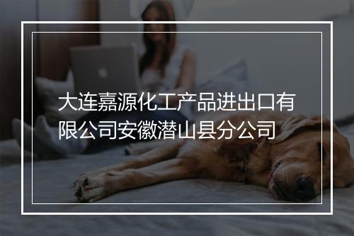 大连嘉源化工产品进出口有限公司安徽潜山县分公司