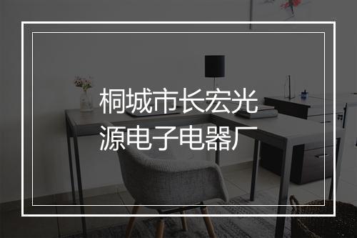 桐城市长宏光源电子电器厂