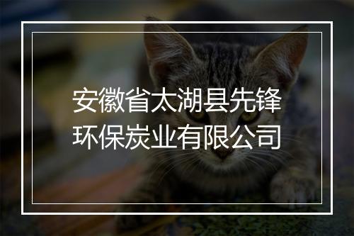 安徽省太湖县先锋环保炭业有限公司