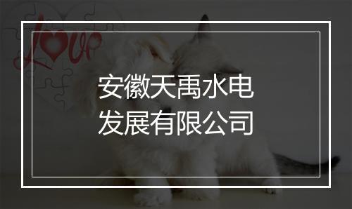 安徽天禹水电发展有限公司
