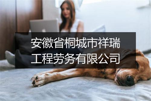 安徽省桐城市祥瑞工程劳务有限公司