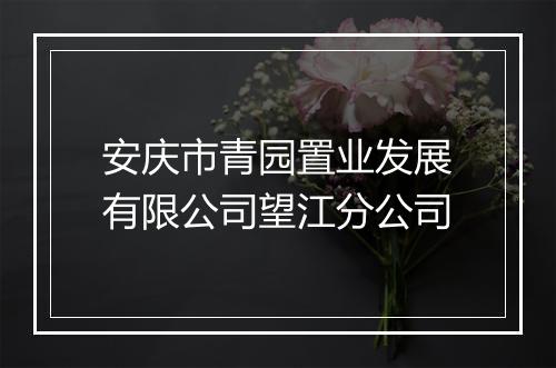 安庆市青园置业发展有限公司望江分公司
