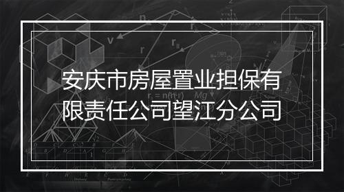 安庆市房屋置业担保有限责任公司望江分公司