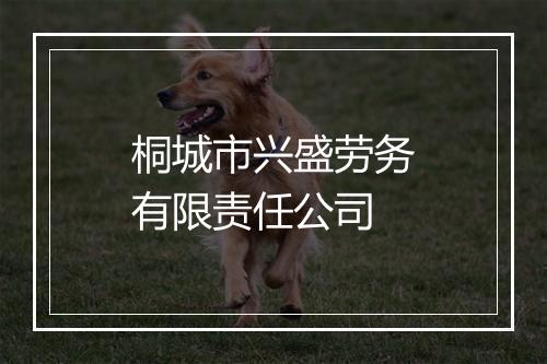 桐城市兴盛劳务有限责任公司