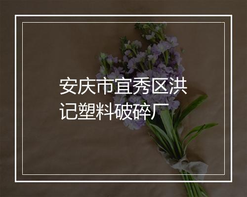安庆市宜秀区洪记塑料破碎厂