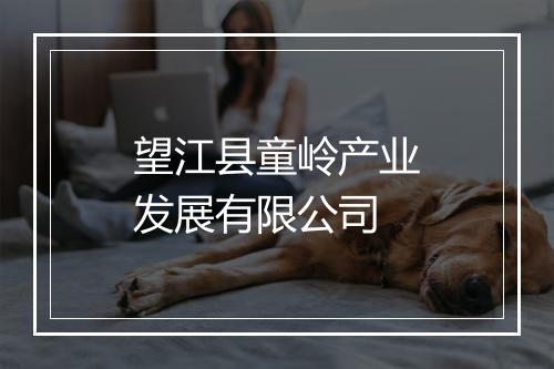 望江县童岭产业发展有限公司