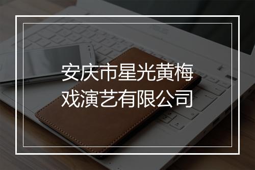 安庆市星光黄梅戏演艺有限公司