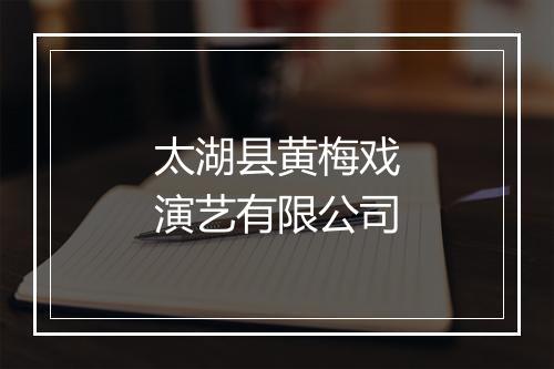 太湖县黄梅戏演艺有限公司