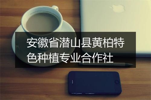 安徽省潜山县黄柏特色种植专业合作社