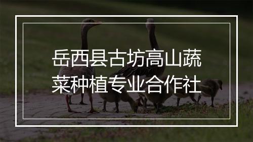 岳西县古坊高山蔬菜种植专业合作社