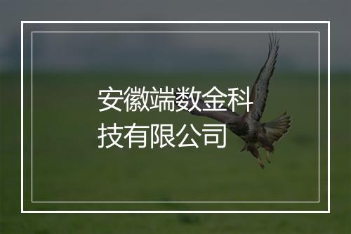 安徽端数金科技有限公司