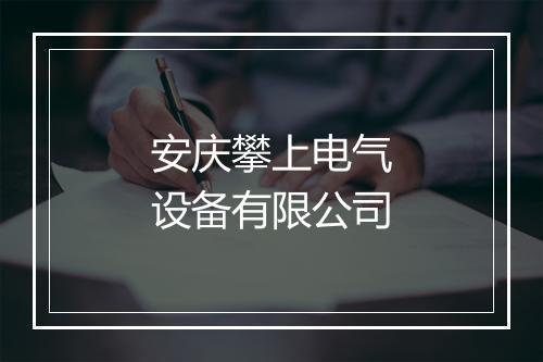 安庆攀上电气设备有限公司