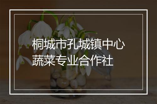 桐城市孔城镇中心蔬菜专业合作社