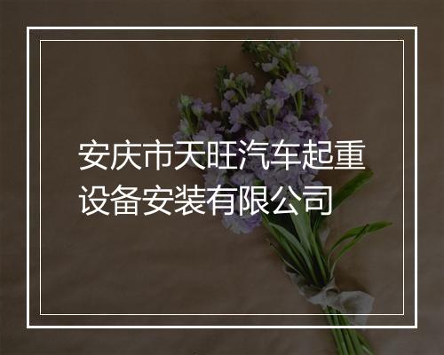安庆市天旺汽车起重设备安装有限公司