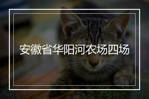 安徽省华阳河农场四场