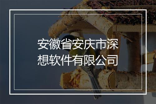 安徽省安庆市深想软件有限公司