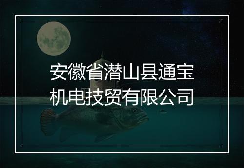 安徽省潜山县通宝机电技贸有限公司