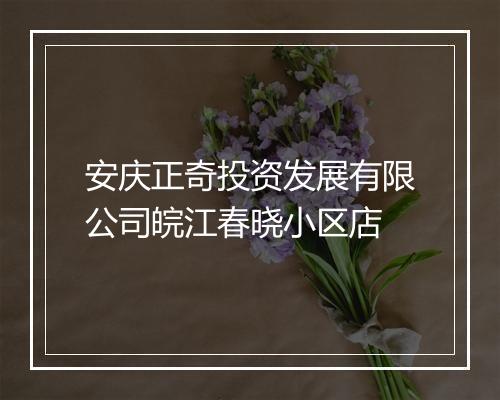 安庆正奇投资发展有限公司皖江春晓小区店
