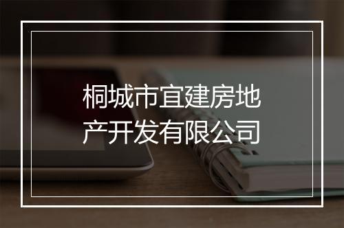 桐城市宜建房地产开发有限公司