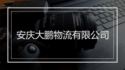 安庆大鹏物流有限公司