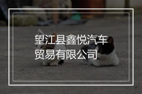 望江县鑫悦汽车贸易有限公司