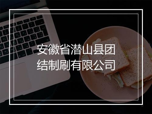 安徽省潜山县团结制刷有限公司