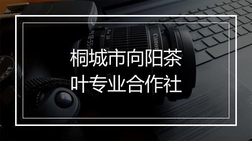 桐城市向阳茶叶专业合作社