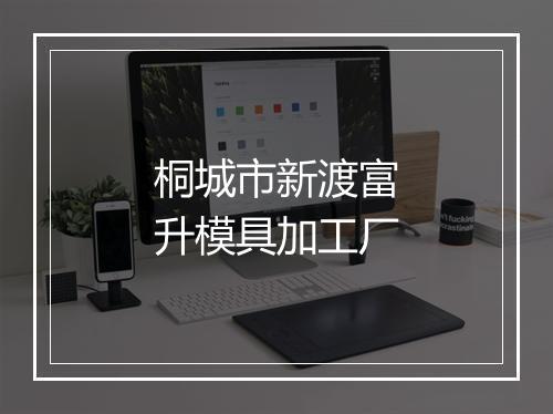 桐城市新渡富升模具加工厂