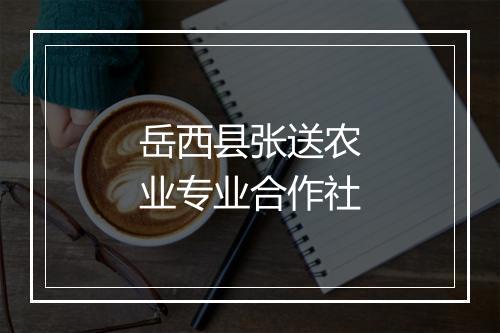 岳西县张送农业专业合作社
