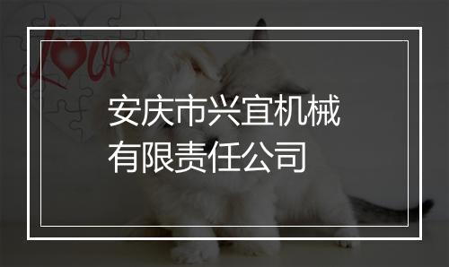 安庆市兴宜机械有限责任公司