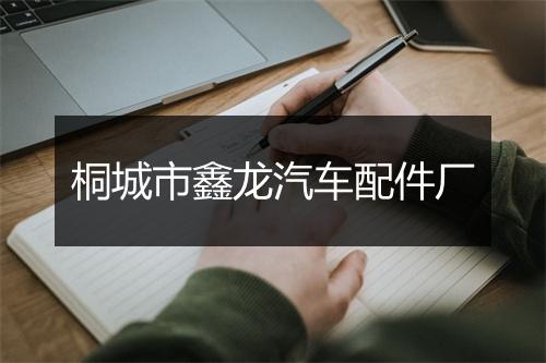 桐城市鑫龙汽车配件厂