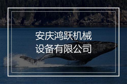 安庆鸿跃机械设备有限公司