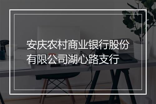 安庆农村商业银行股份有限公司湖心路支行