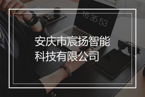 安庆市宸扬智能科技有限公司